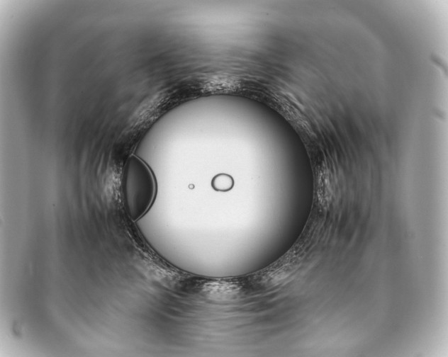 X0000093370714200710251153