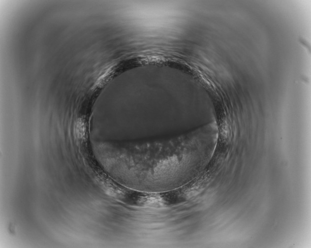 X0000093370715200710251153