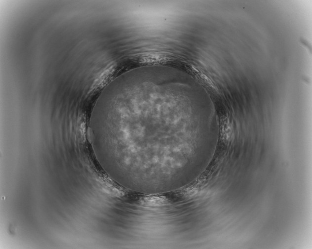 X0000093370716200710251153