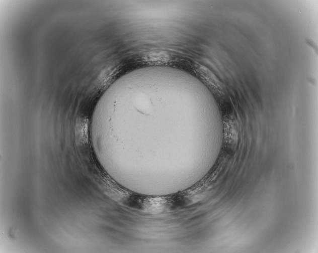 X0000093370717200710251153