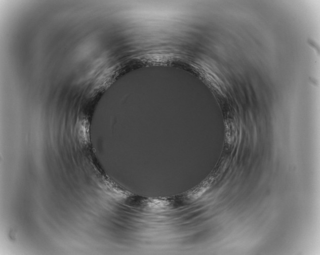 X0000093370718200710251153