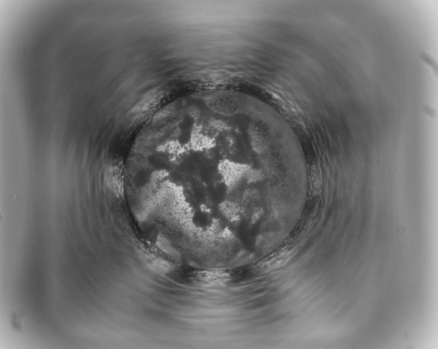 X0000093370719200710251153