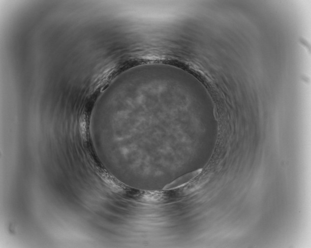 X0000093370720200710251153