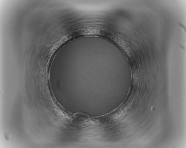 X0000093370721200710251153