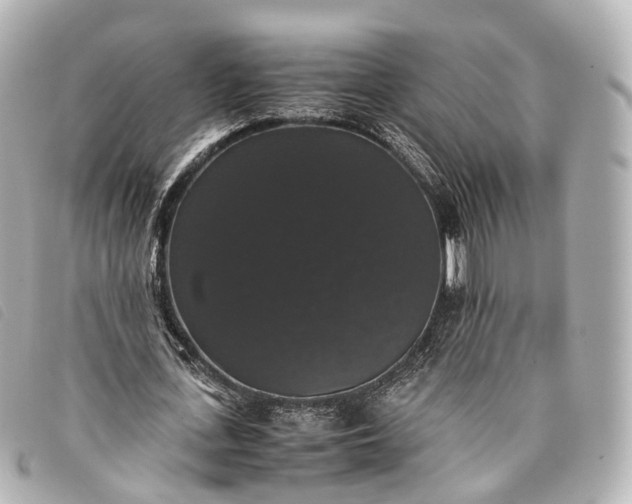 X0000093370723200710251153