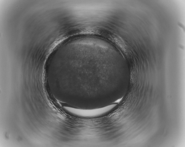 X0000093370724200710251153