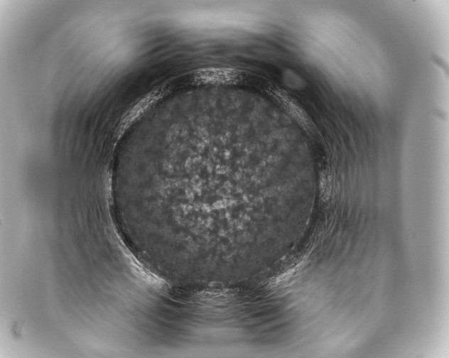 X0000093370725200710251153