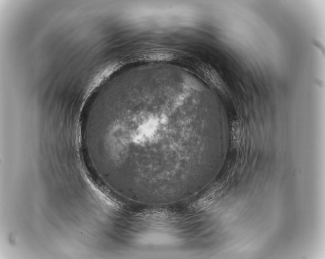 X0000093370726200710251153