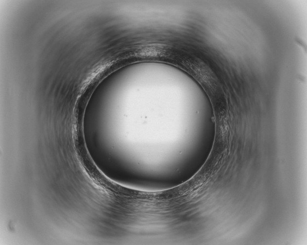 X0000093370728200710251153