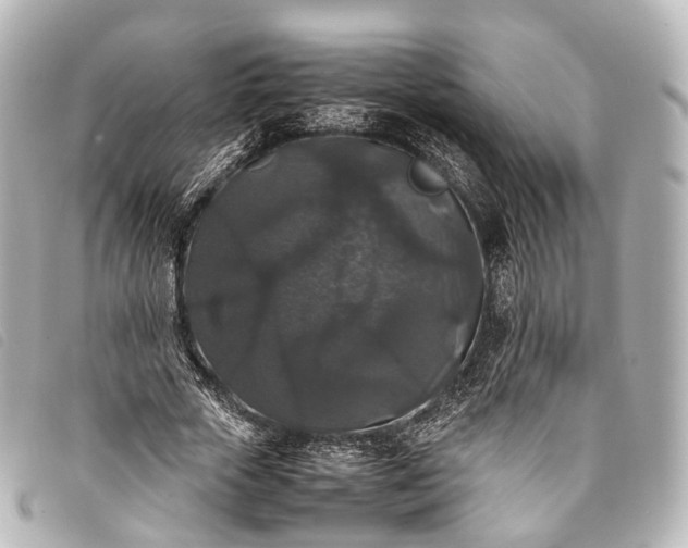 X0000093370729200710251153