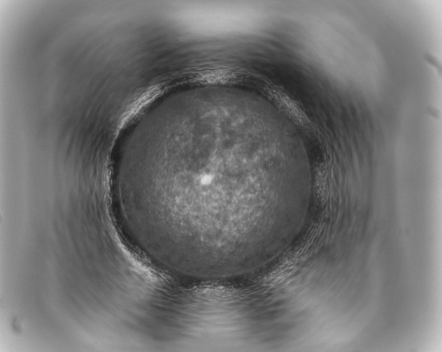 X0000093370730200710251153