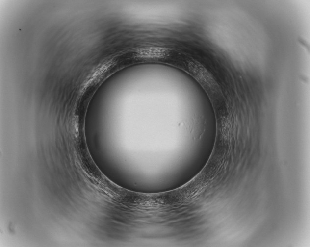 X0000093370731200710251153