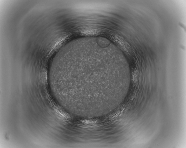 X0000093370733200710251153