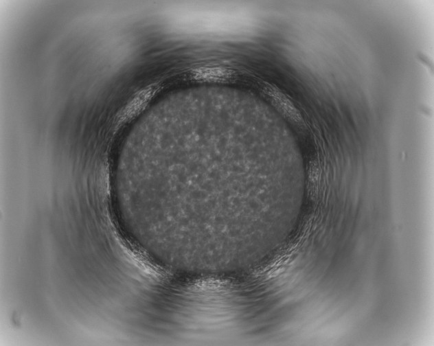 X0000093370734200710251153