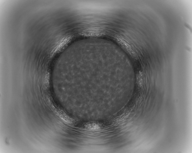 X0000093370735200710251153