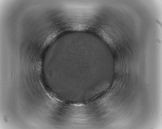 X0000093370736200710251153