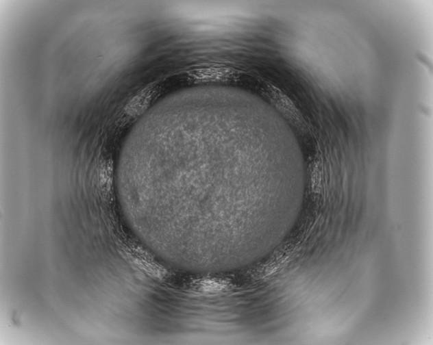 X0000093370737200710251153