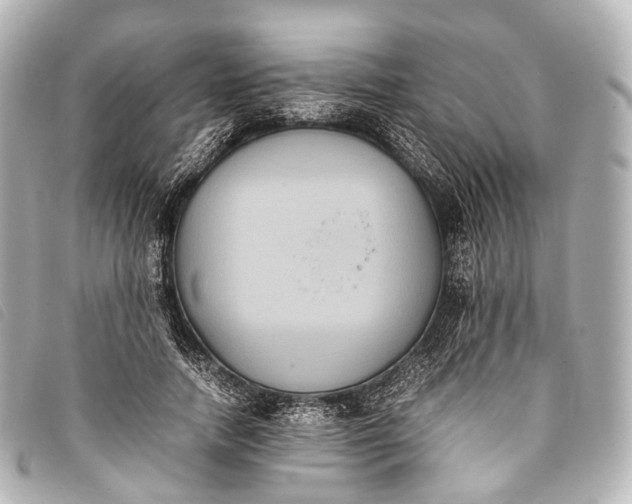 X0000093370738200710251153