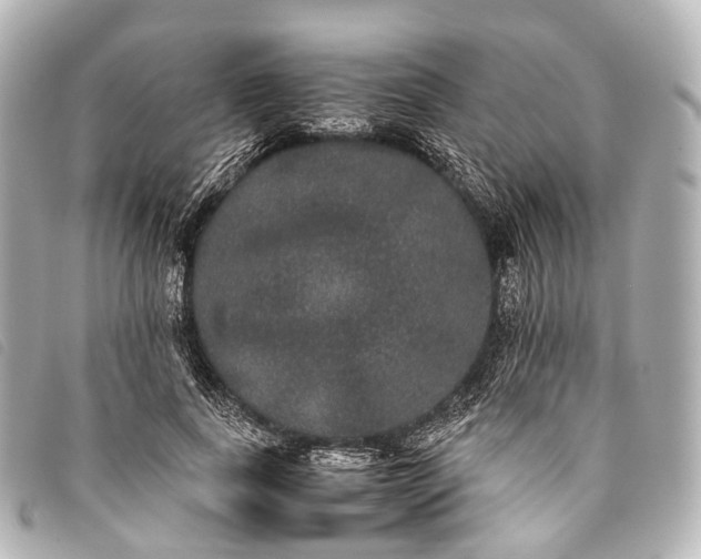 X0000093370739200710251153