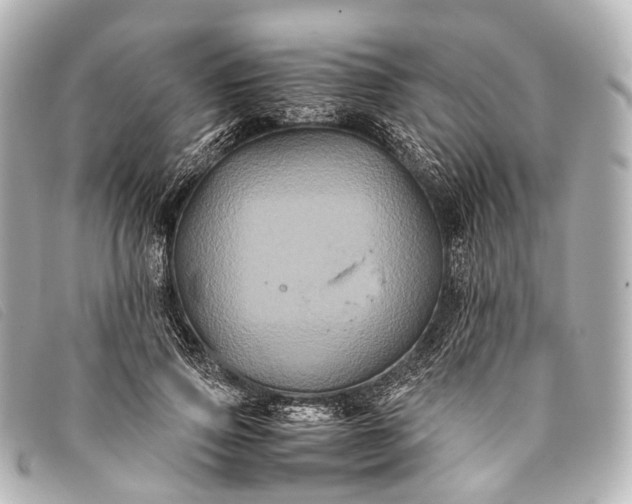 X0000093370741200710251153