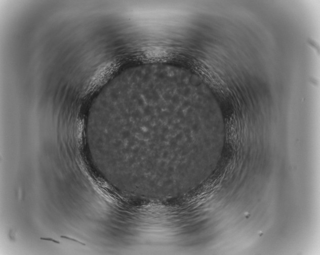 X0000093370742200710251153