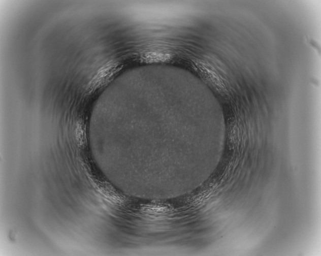 X0000093370743200710251153