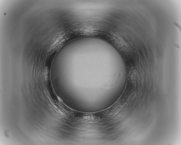 X0000093370744200710251153