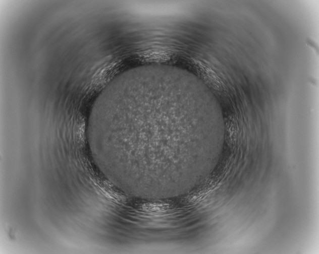 X0000093370745200710251153