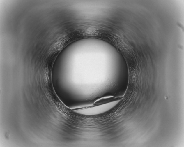 X0000093370746200710251153