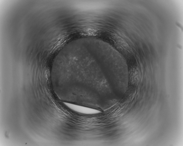 X0000093370747200710251153