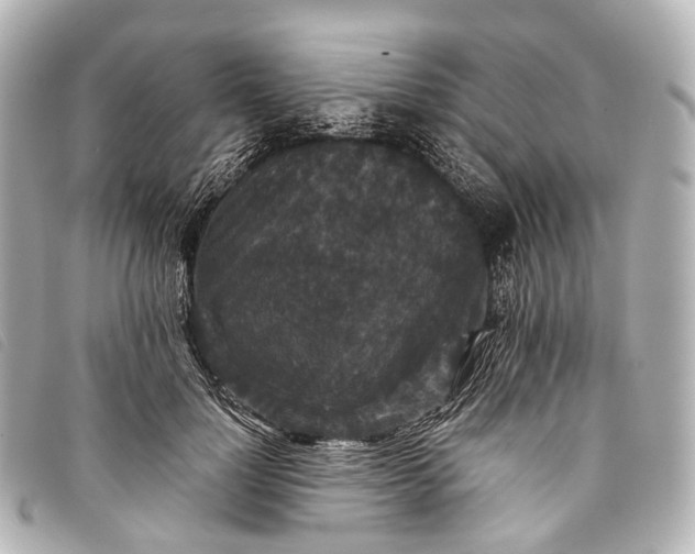 X0000093370748200710251153