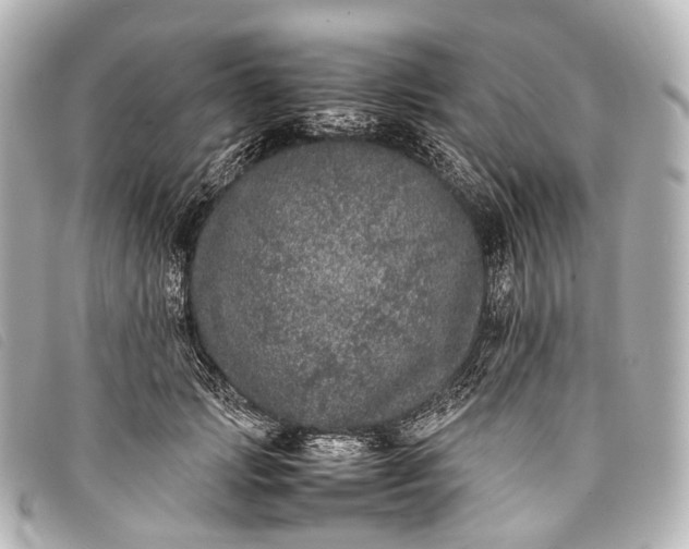 X0000093370749200710251153