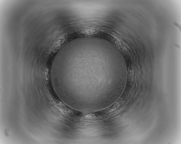 X0000093370750200710251153