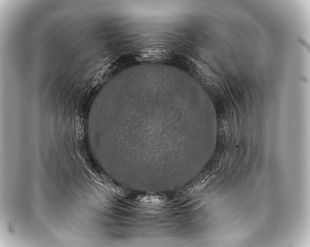 X0000093370751200710251153