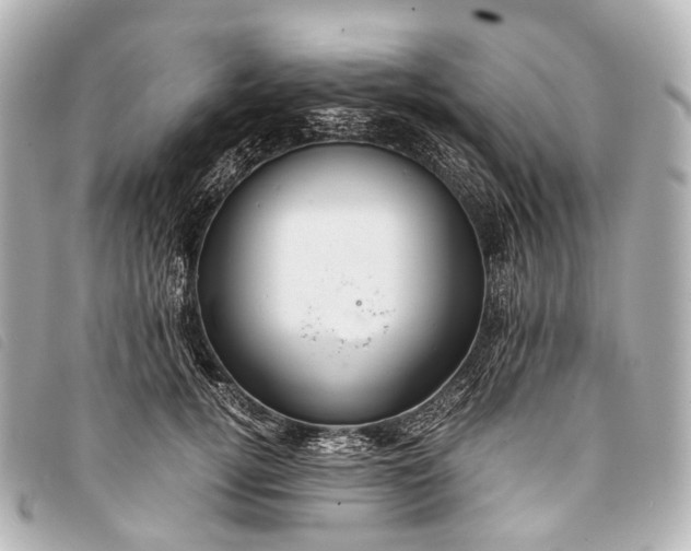 X0000093370752200710251153