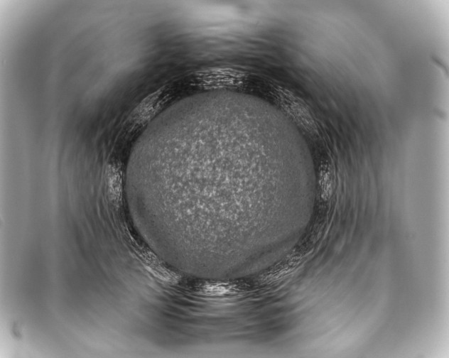 X0000093370753200710251153