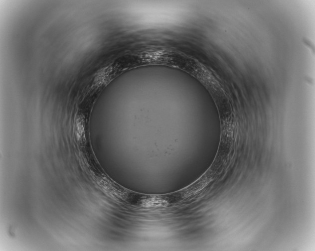 X0000093370754200710251153