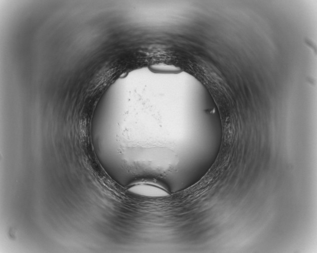 X0000093370756200710251153