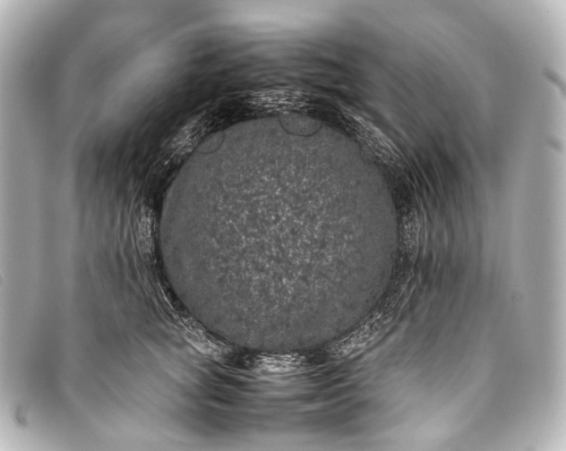 X0000093370757200710251153