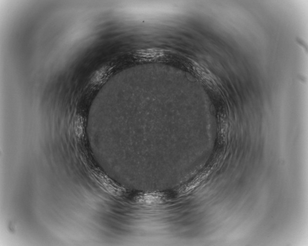 X0000093370758200710251153