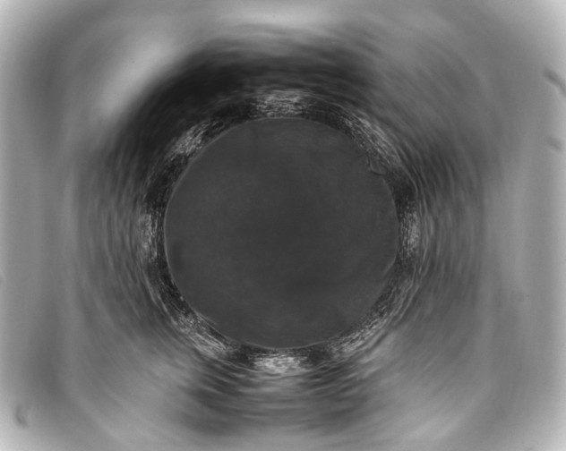 X0000093370759200710251153