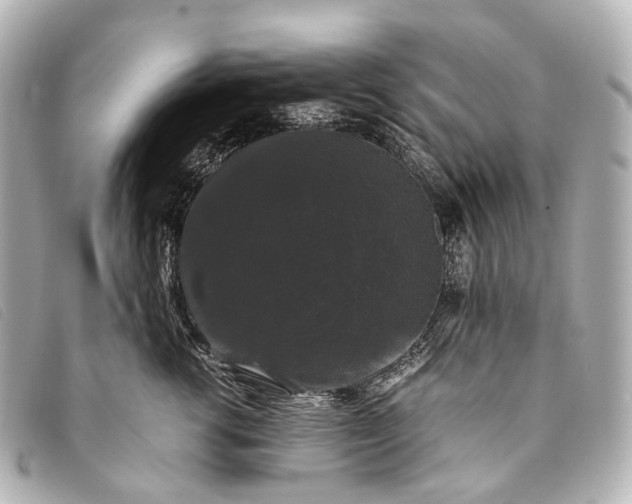 X0000093370762200710251153