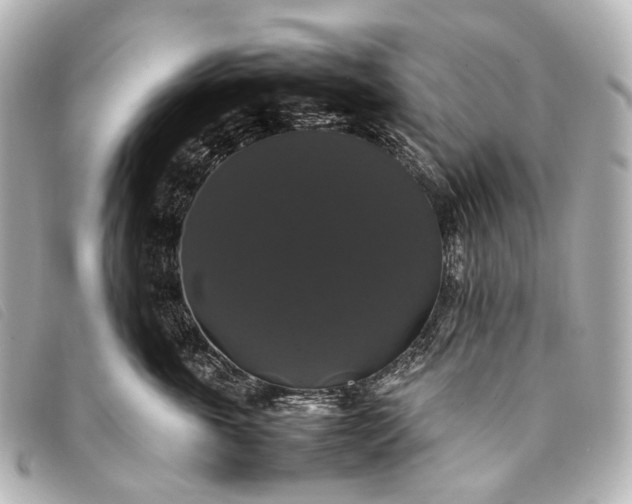 X0000093370763200710251153