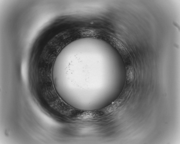 X0000093370764200710251153