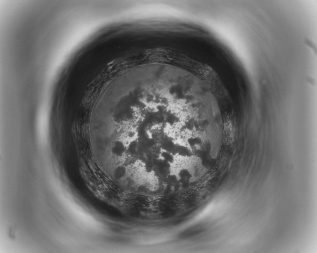 X0000093370765200710251153