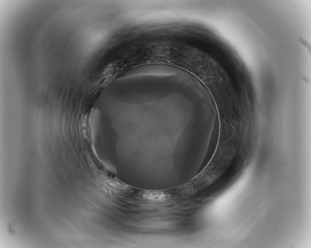 X0000093370767200710251153