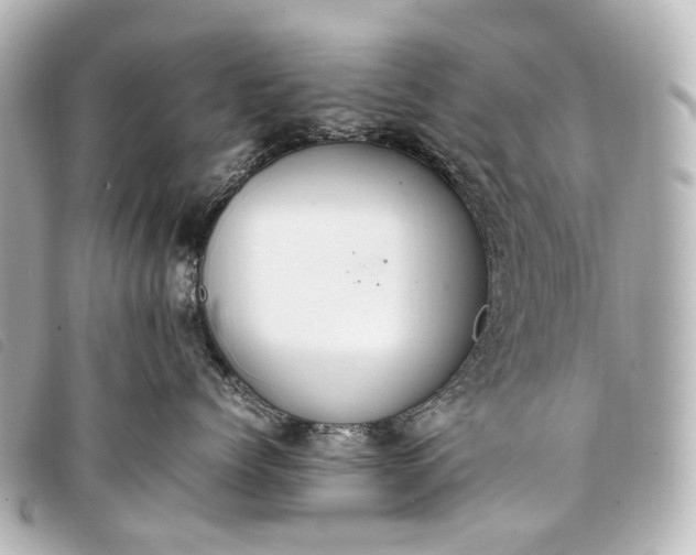 X0000093370768200710251153