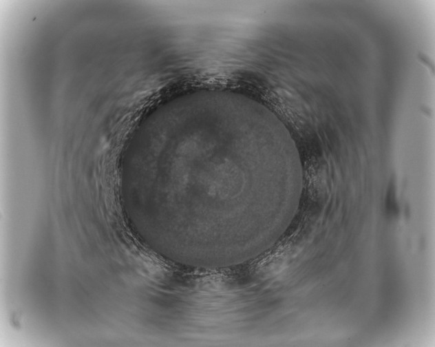 X0000093370769200710251153