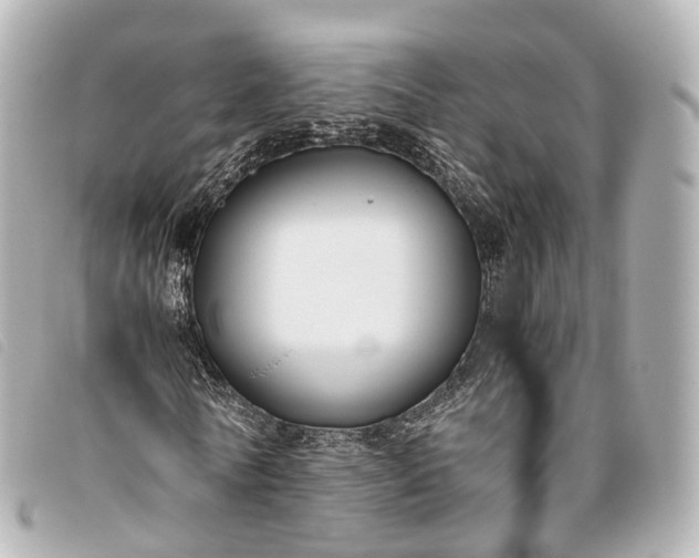 X0000093370770200710251153