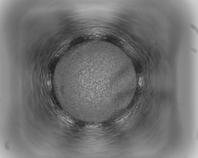 X0000093370771200710251153